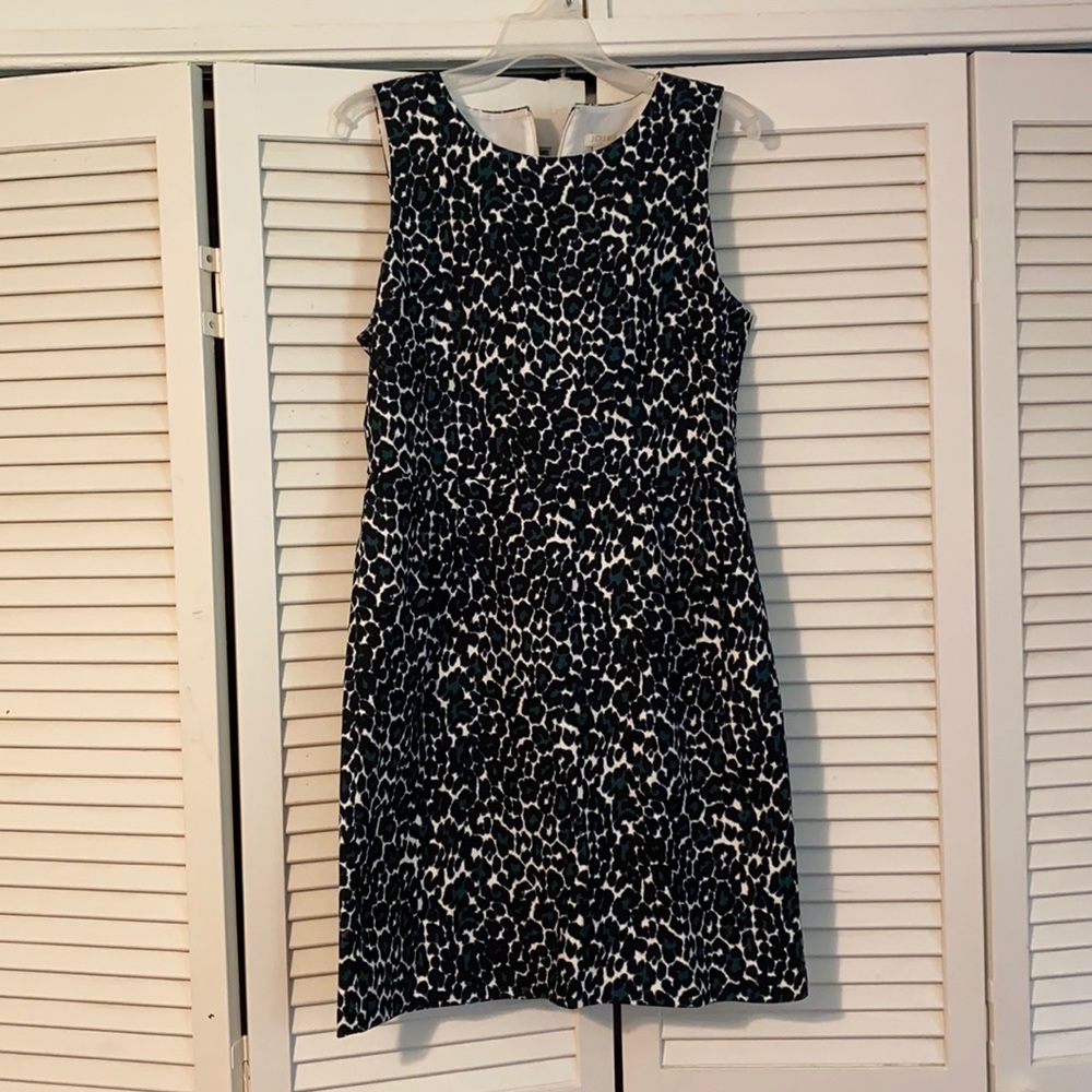 J Crew Dress